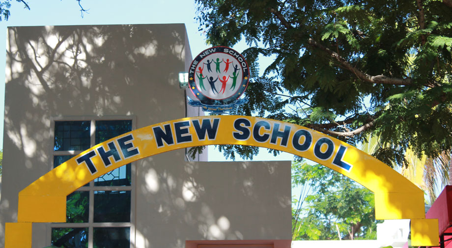 the new school